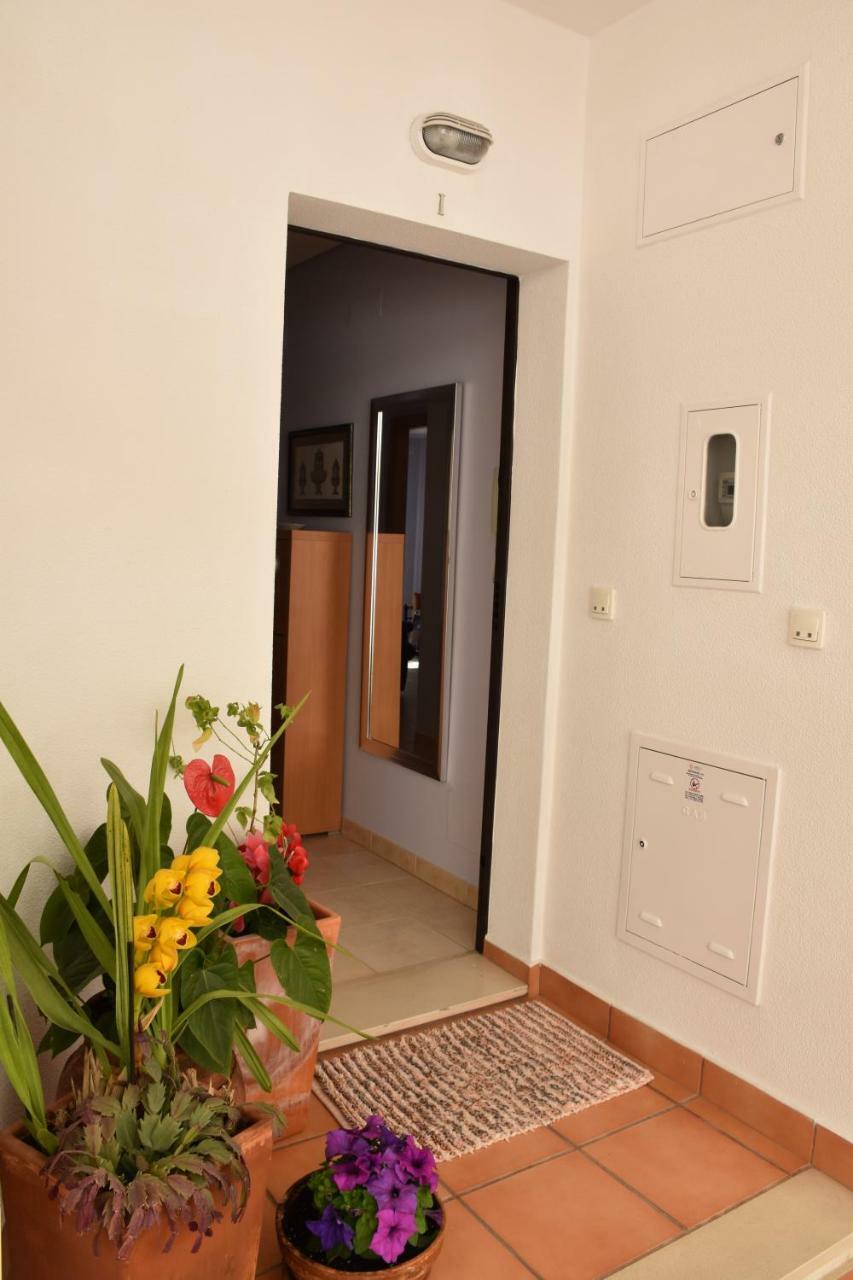 Apartament Sesimbra Terrace Oasis Zewnętrze zdjęcie